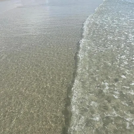 Bahia Algeciras